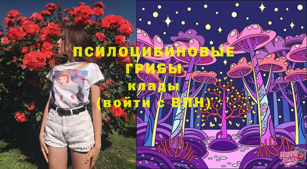 спиды Алзамай